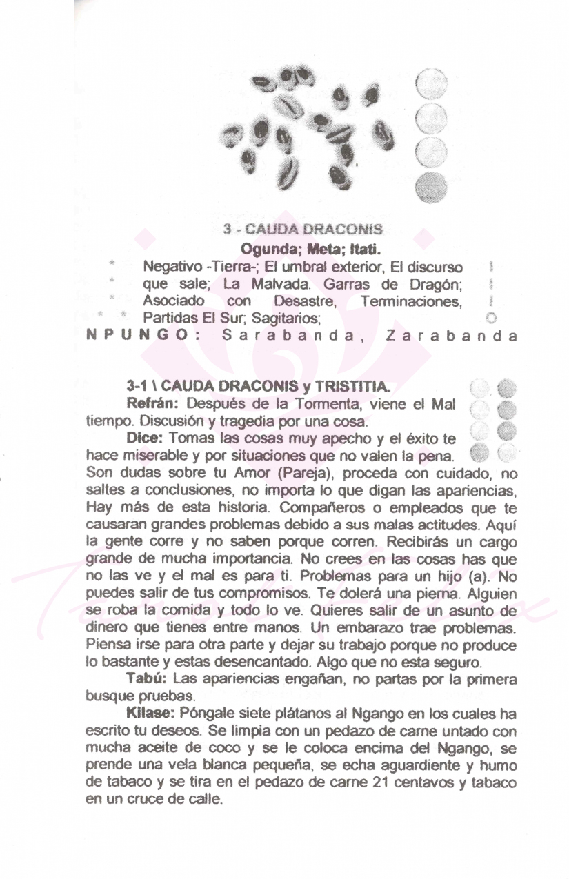Libro: El Secreto Del Poder Tratado Del Boroko Sarabandero