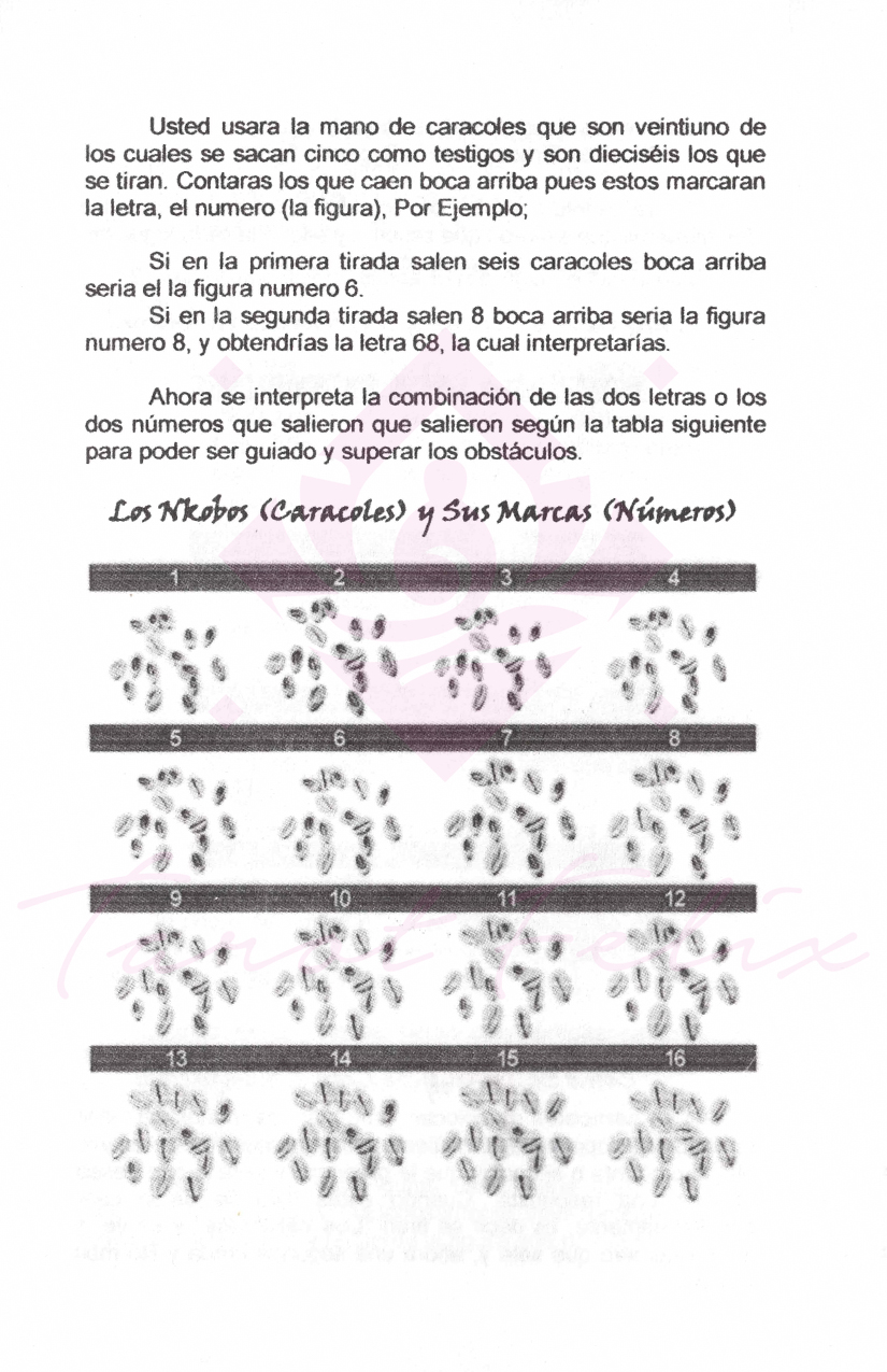 Libro: El Secreto Del Poder Tratado Del Boroko Sarabandero