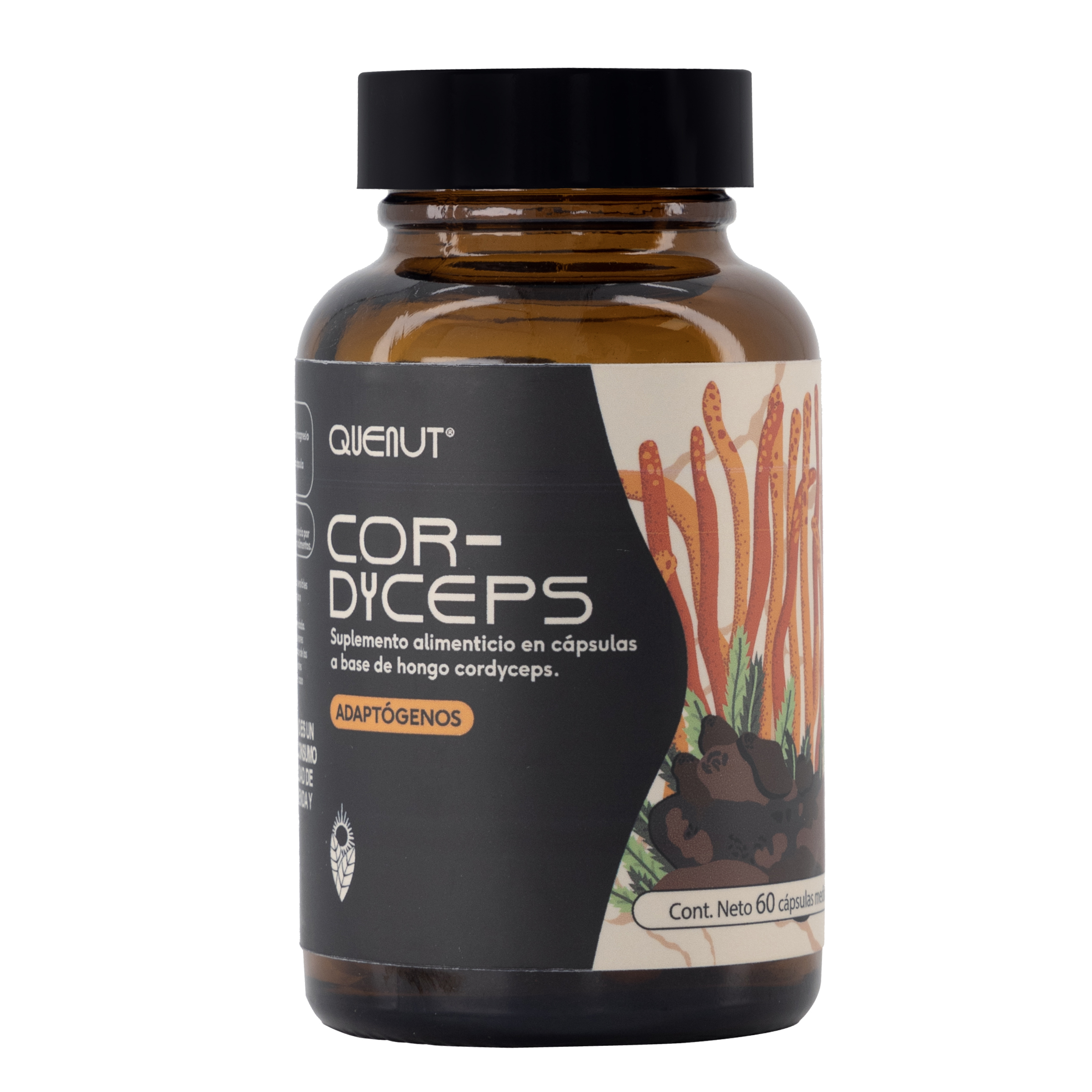 Hongo Cordyceps 60 cápsulas veganas Quenut Adaptógenos 