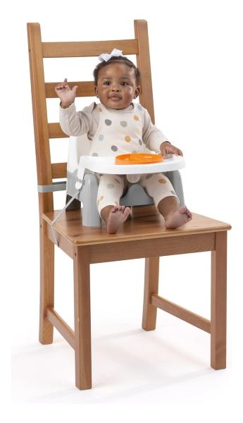 Silla Periquera Para Bebé Ingenuity Deluxe Learn To Dine