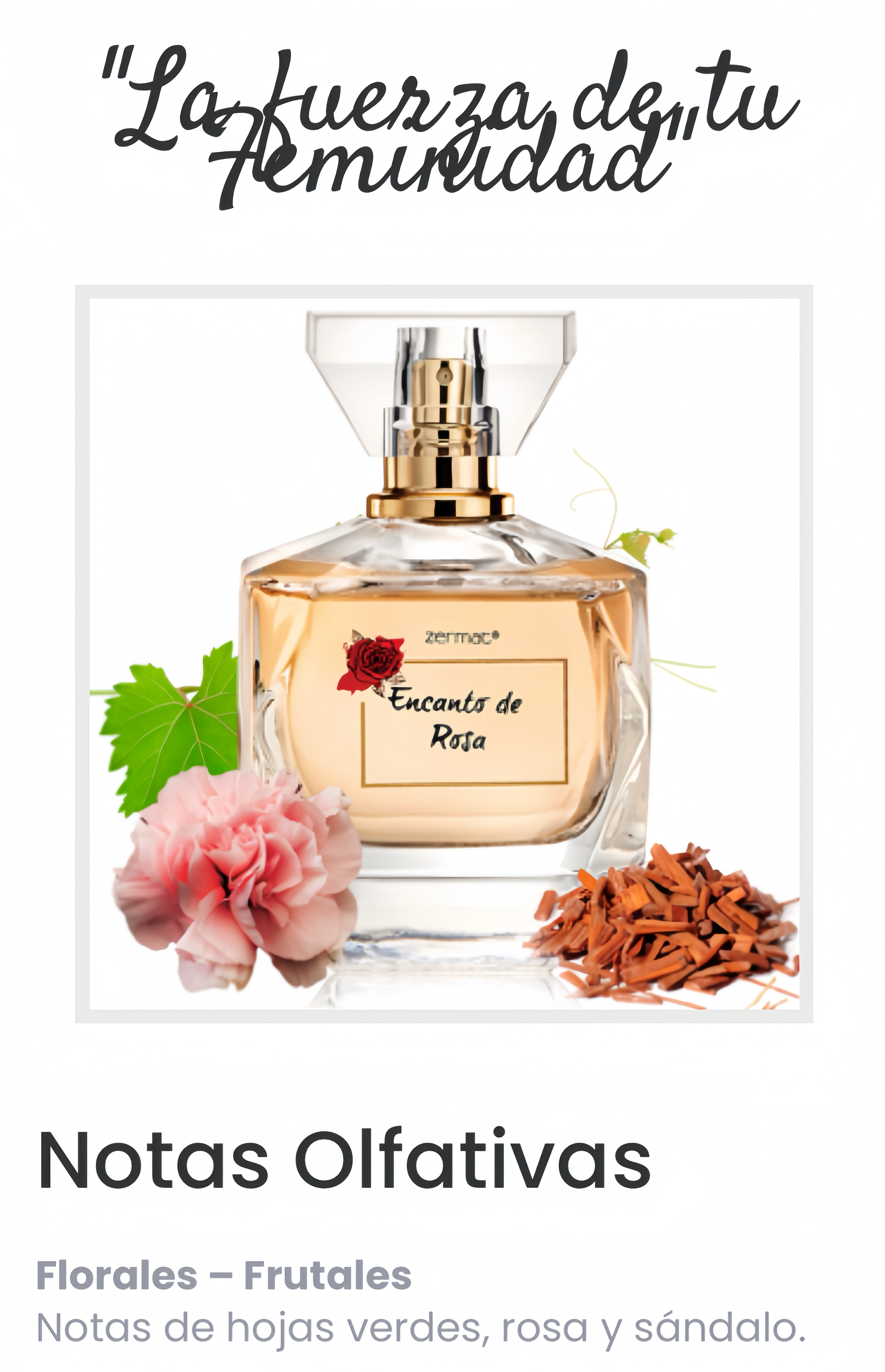 ENCANTO DE ROSA PERFUME PARA DAMA MUJER EXCELENTE AROMA CON ESENCIAS NATURALES CERTIFICADAS 
