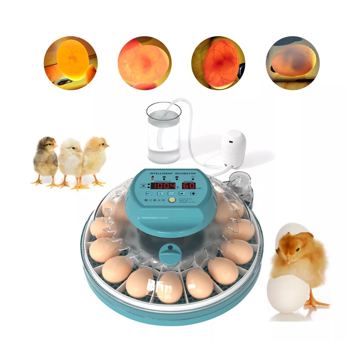 Incubadora Automática De Aves De Corral Nacedora 15 Huevos