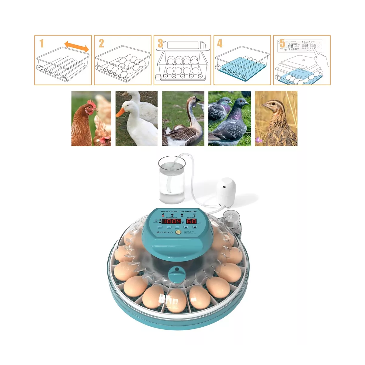 Incubadora Automática De Aves De Corral Nacedora 15 Huevos