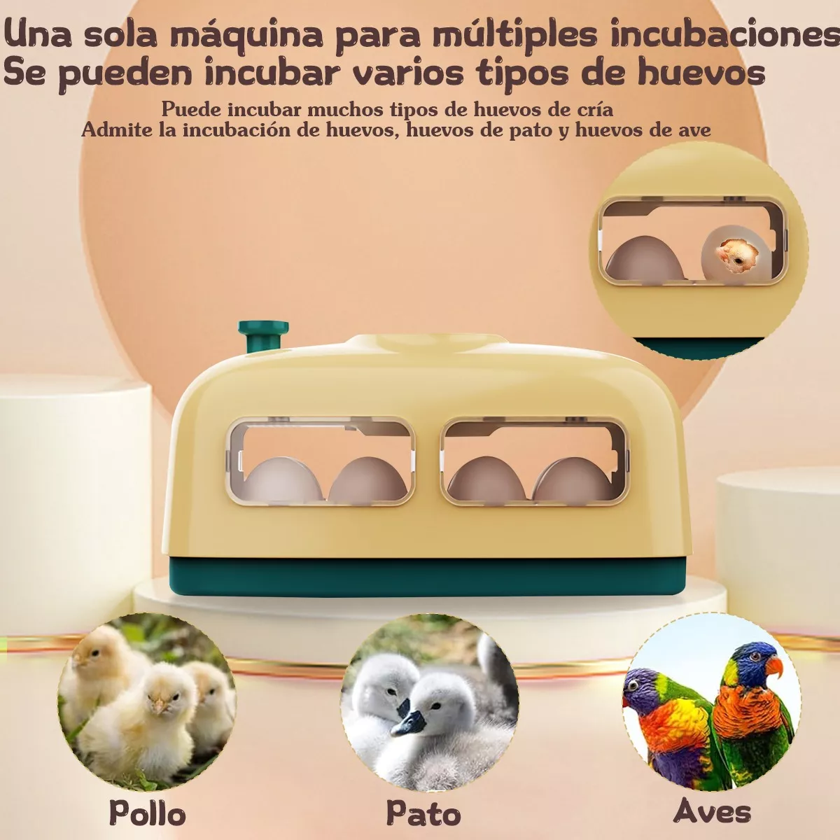 Incubadora Para Pollos De 8 Huevos