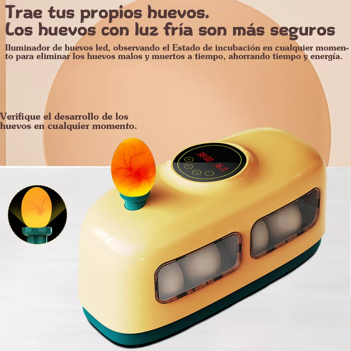 Incubadora Para Pollos De 8 Huevos