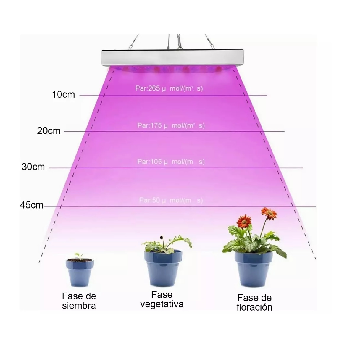 Luz Led De Cultivo Luces Para Plantas De Interior Espectro C