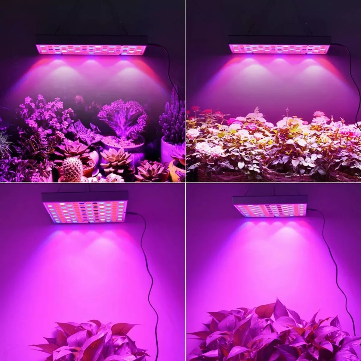 Luz Led De Cultivo Luces Para Plantas De Interior Espectro C