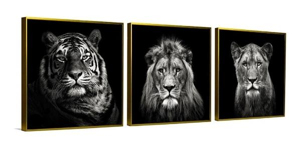 Set De 3 Cuadros Decorativos Modernos Leones Blanco Y Negro