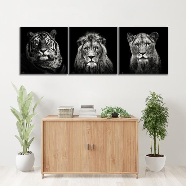Set De 3 Cuadros Decorativos Modernos Leones Blanco Y Negro