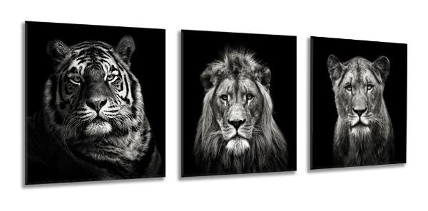 Set De 3 Cuadros Decorativos Modernos Leones Blanco Y Negro