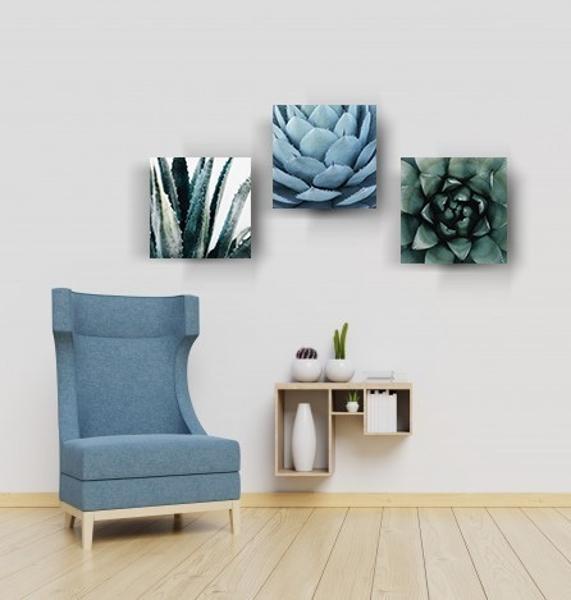 Tríptico Plantas Cactus Cuadros Decorativos Canvas Varios Mo