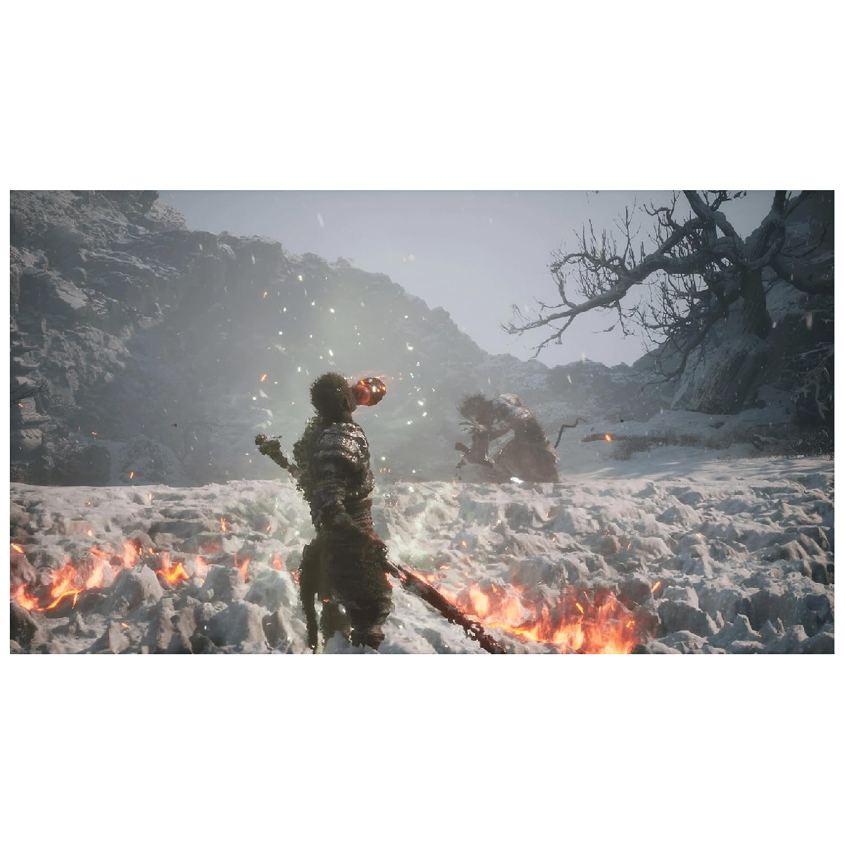 PS5 Juego Black Myth Wukong