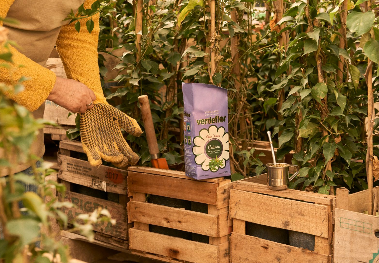 Yerba Mate Verdeflor Cedrón 500 g