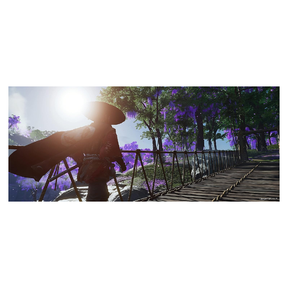 PS5 Juego Ghost Of Tsushima Director's Cut