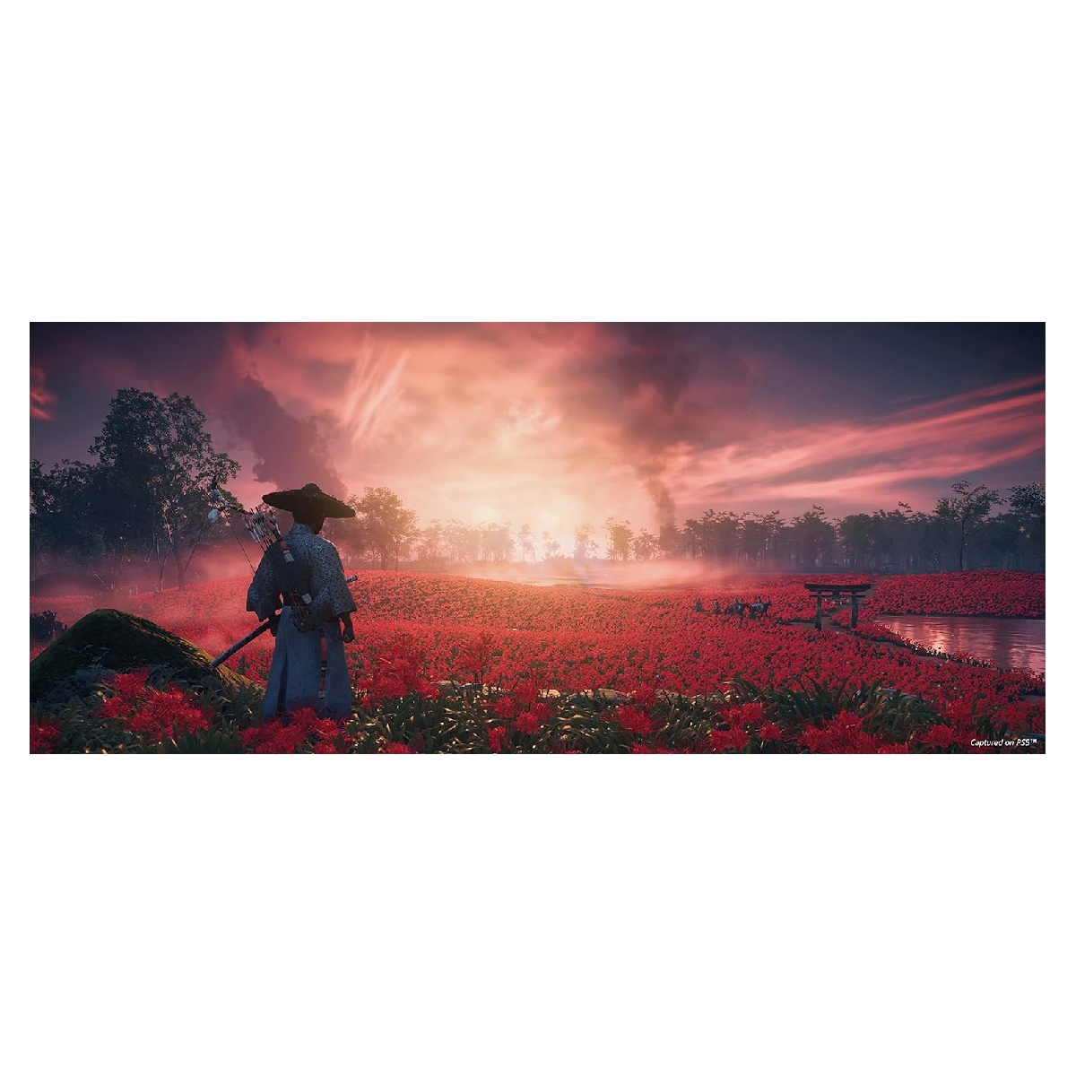 PS5 Juego Ghost Of Tsushima Director's Cut