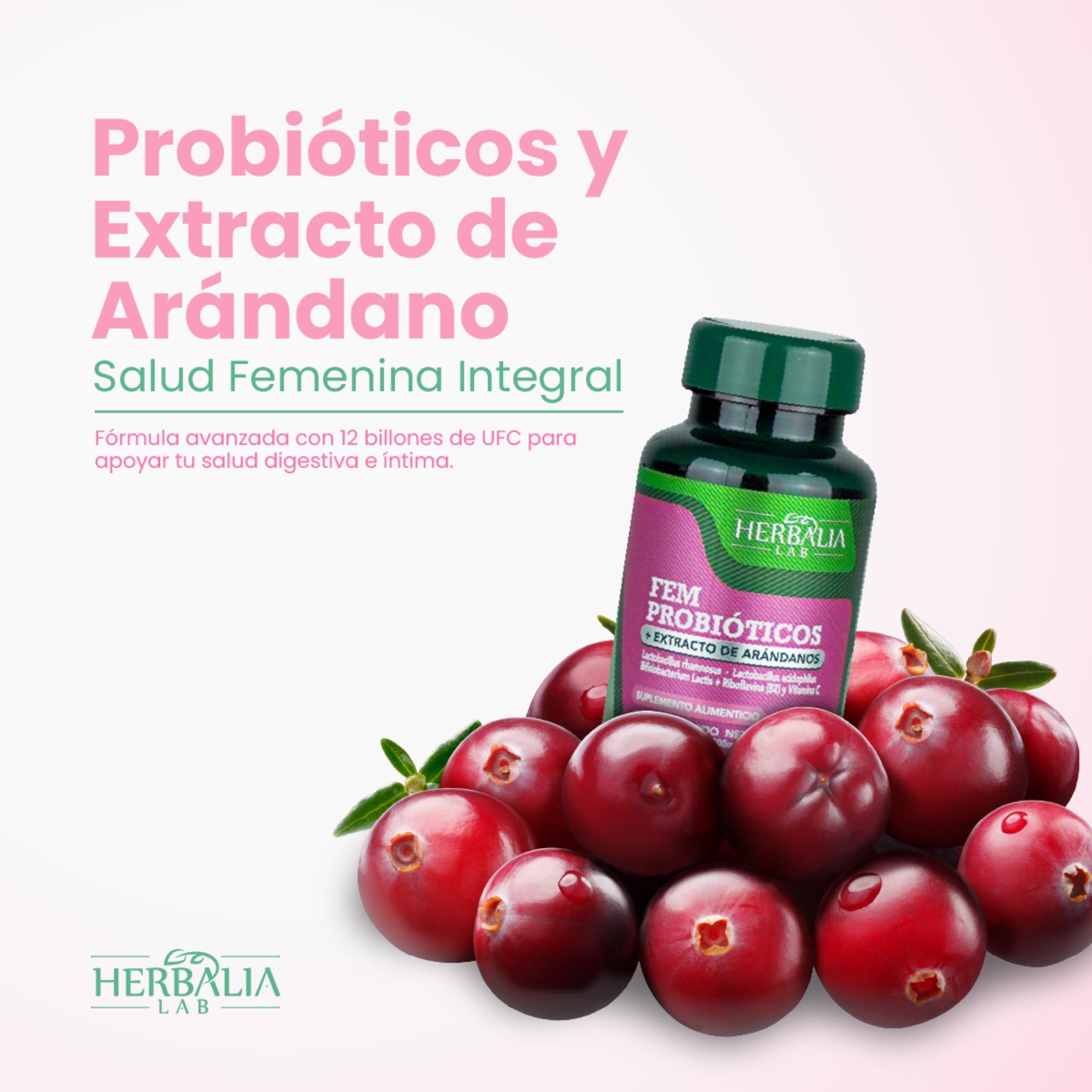 Herbalia Lab Probióticos para Mujer con Extracto de Arándano y Vitamina C | 12 Billones de UFC - 90 Cápsulas