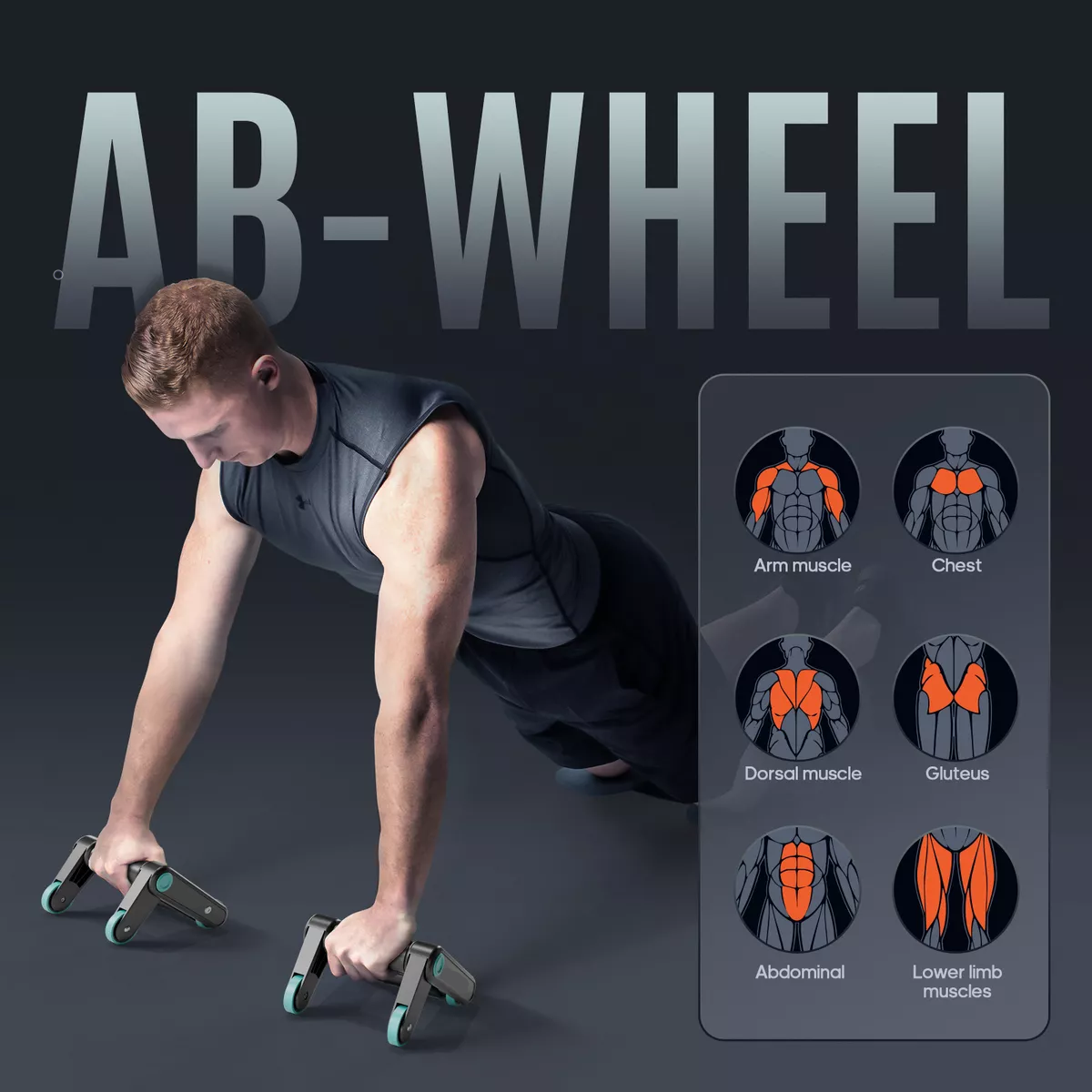 Rueda Abdominal Y Asas De Empuje, 2 En 1, Compacta Y Plegabl