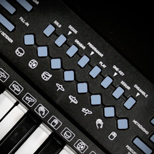 Teclado Musical Kiaser De 61 Teclas Luminosas Mtc-5495.