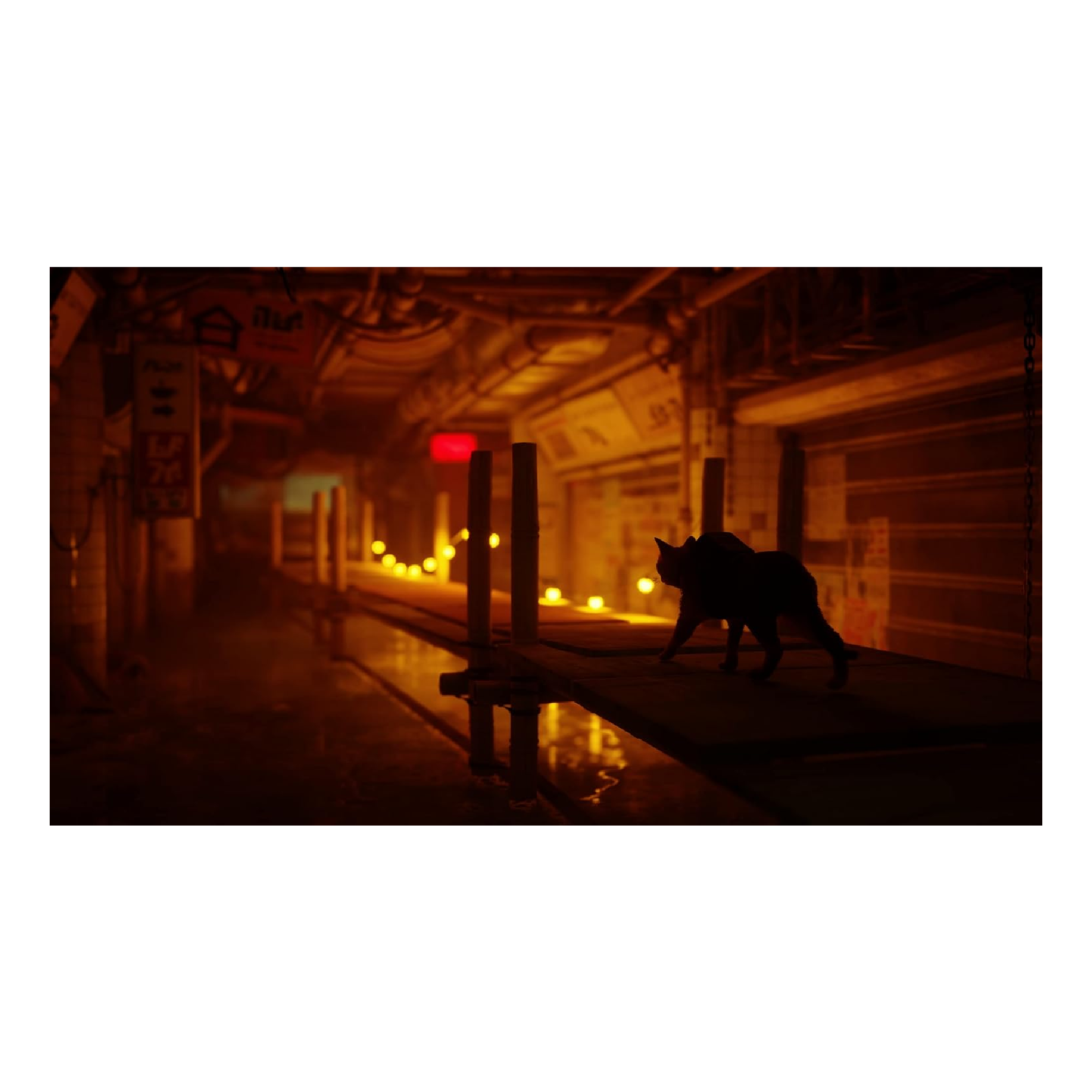 PS4 Juego Stray