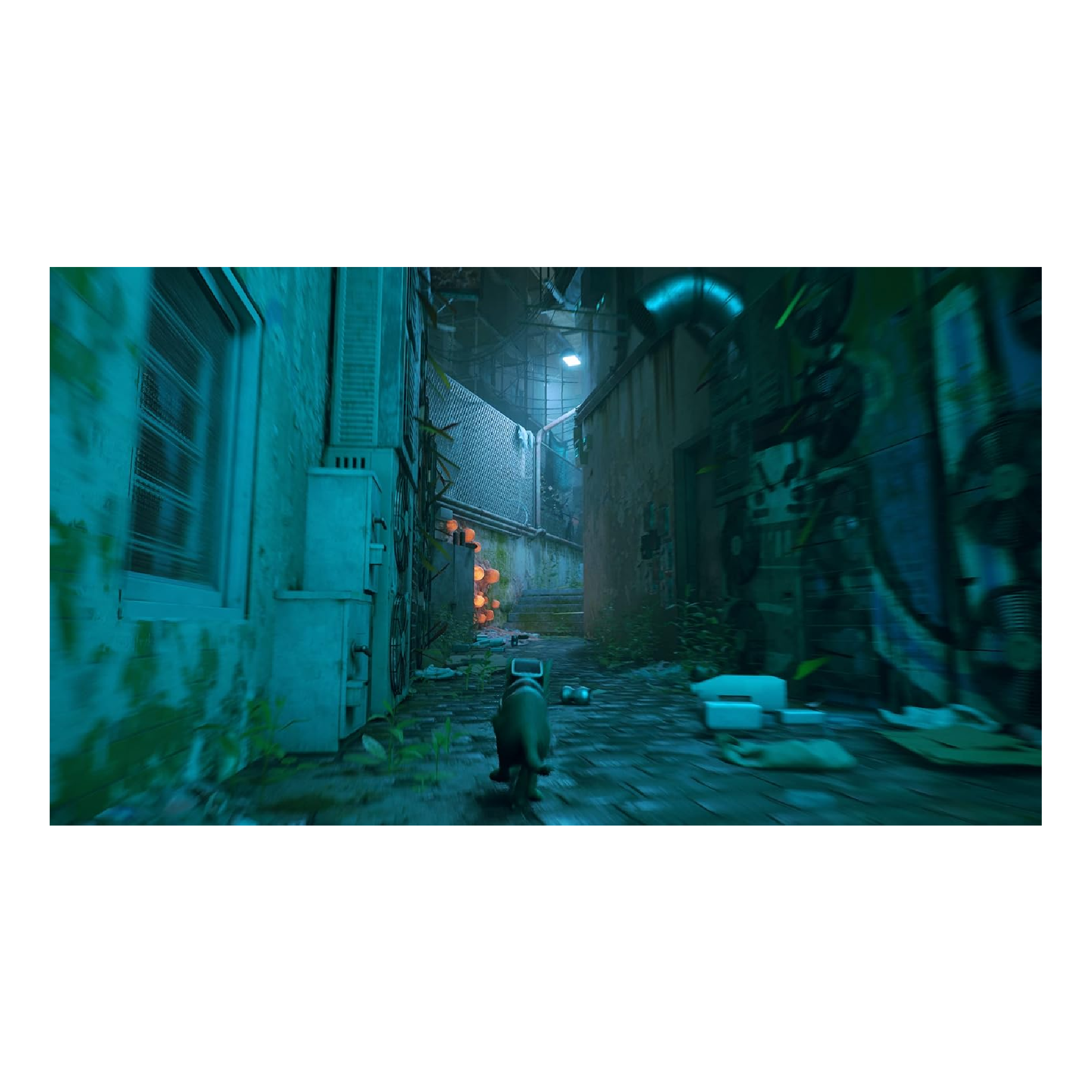 PS4 Juego Stray