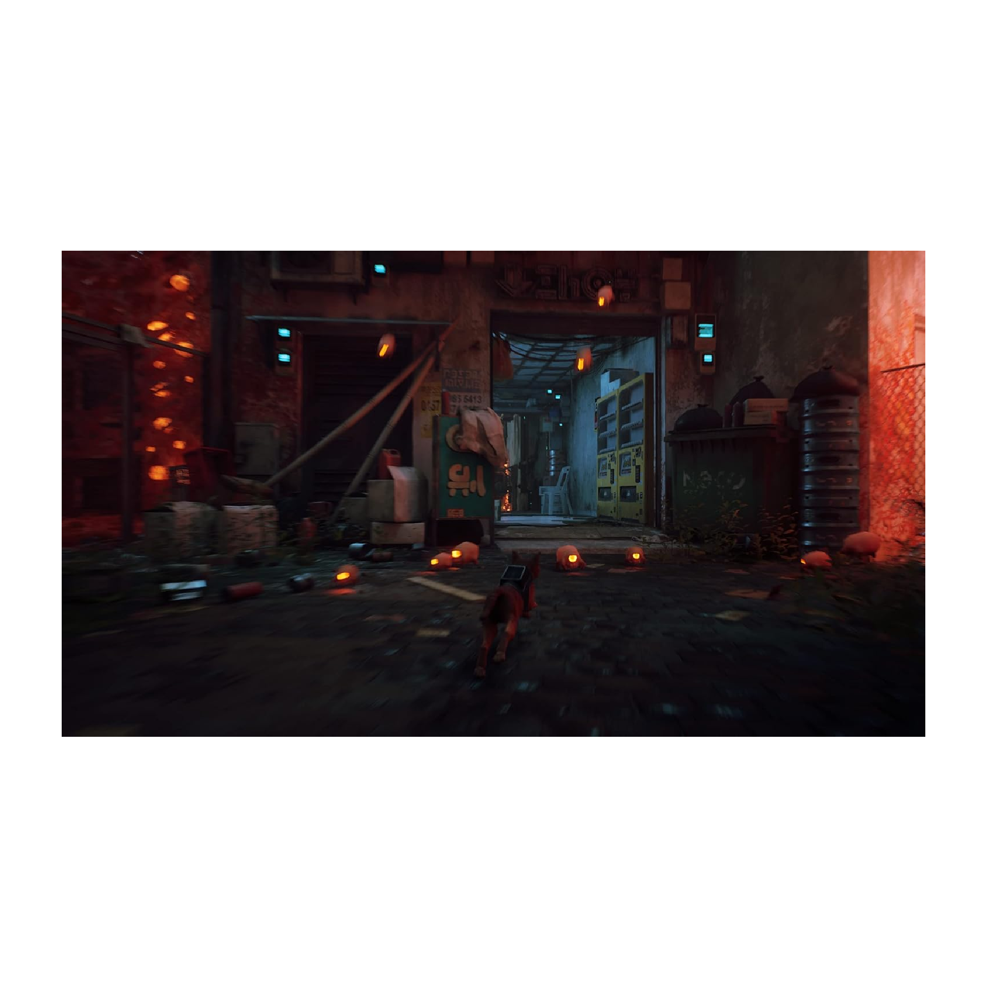 PS4 Juego Stray