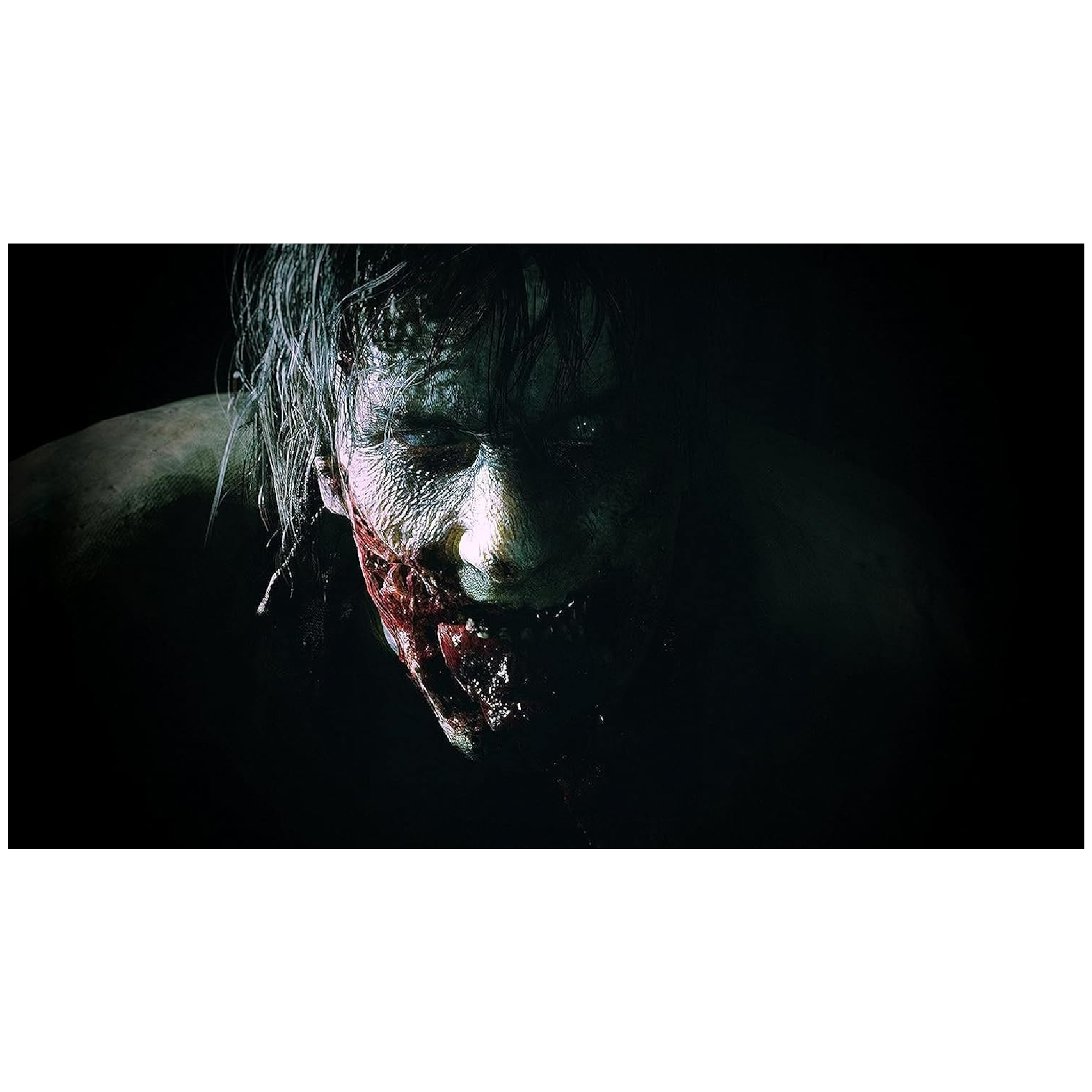 PS4 Juego Resident Evil 2