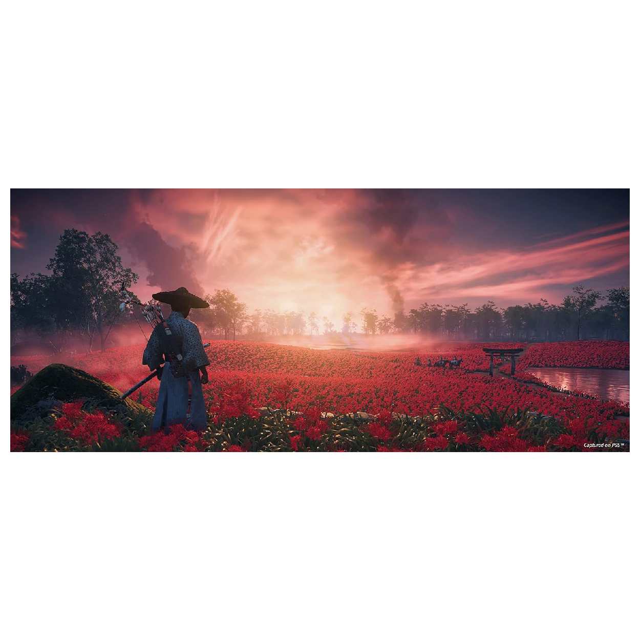 PS4 Juego Ghost Of Tsushima Director's Cut