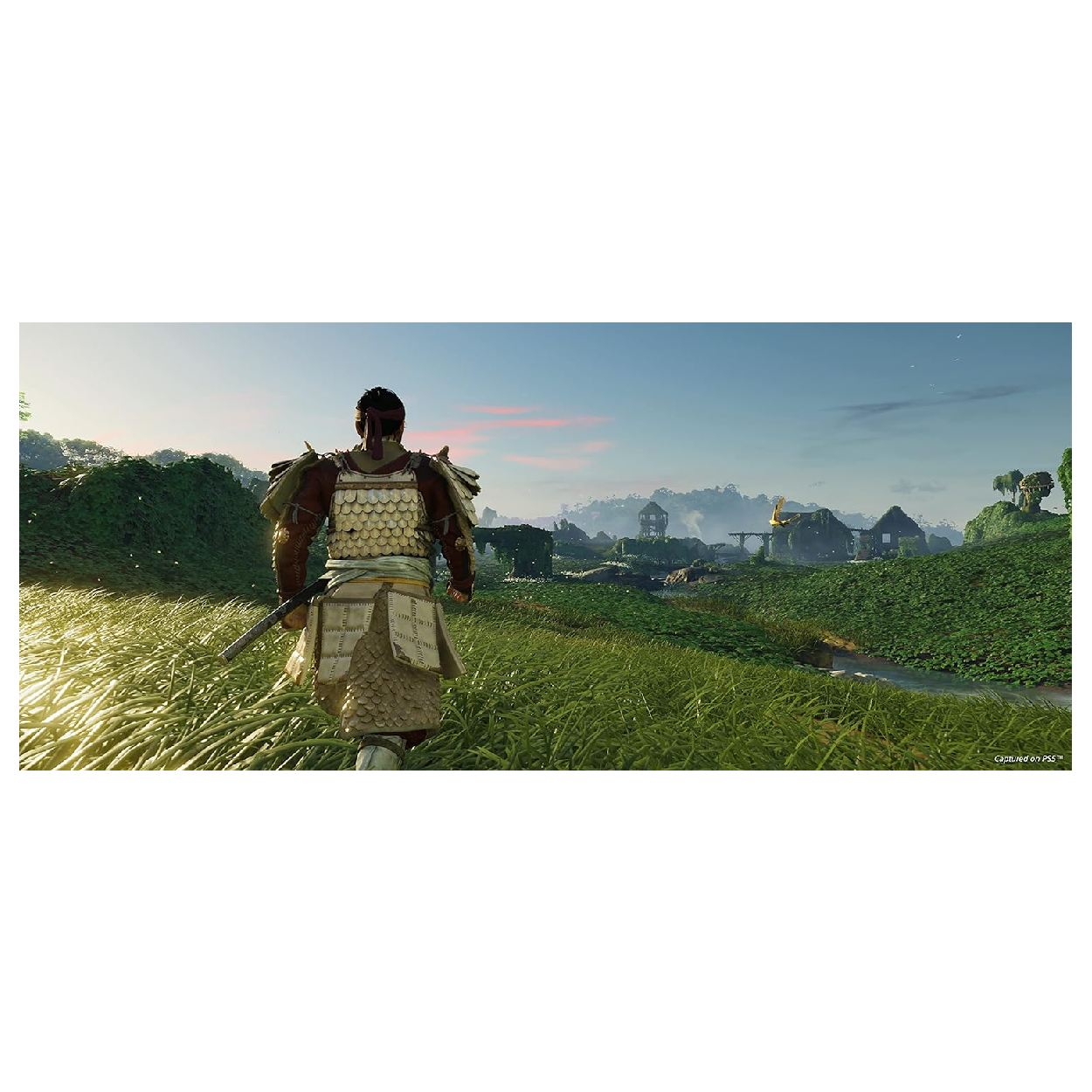 PS4 Juego Ghost Of Tsushima Director's Cut