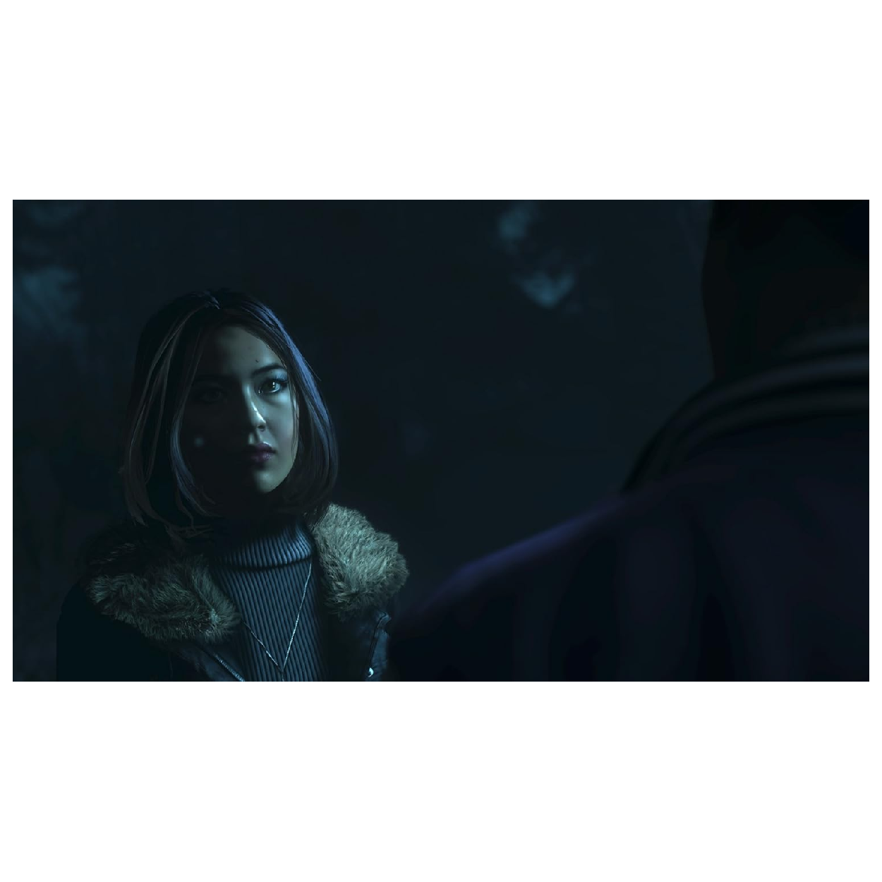 PS4 Juego Until Dawn