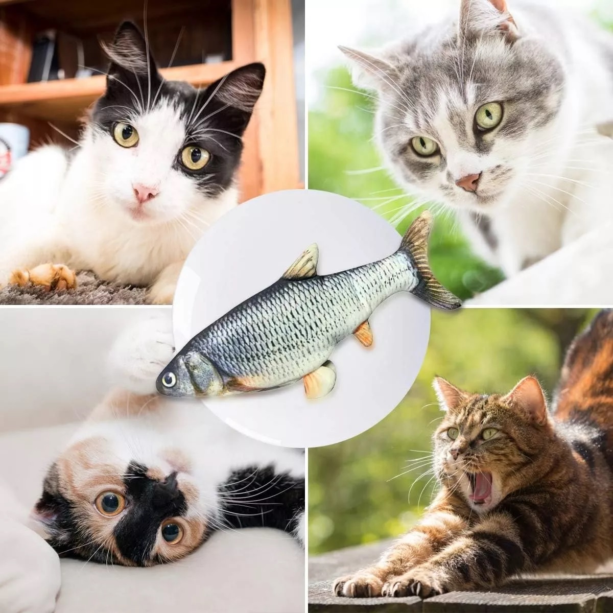 Juguetes Gato Eléctrico Pez Con Catnip Pescado Para Gatos