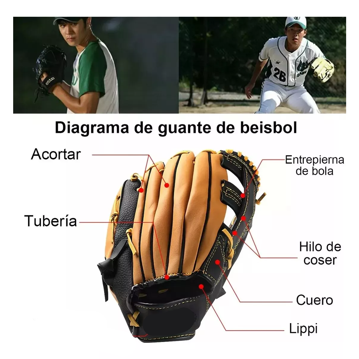 Guante De Béisbol Para Adulto De Piel De Vaca 12.5"