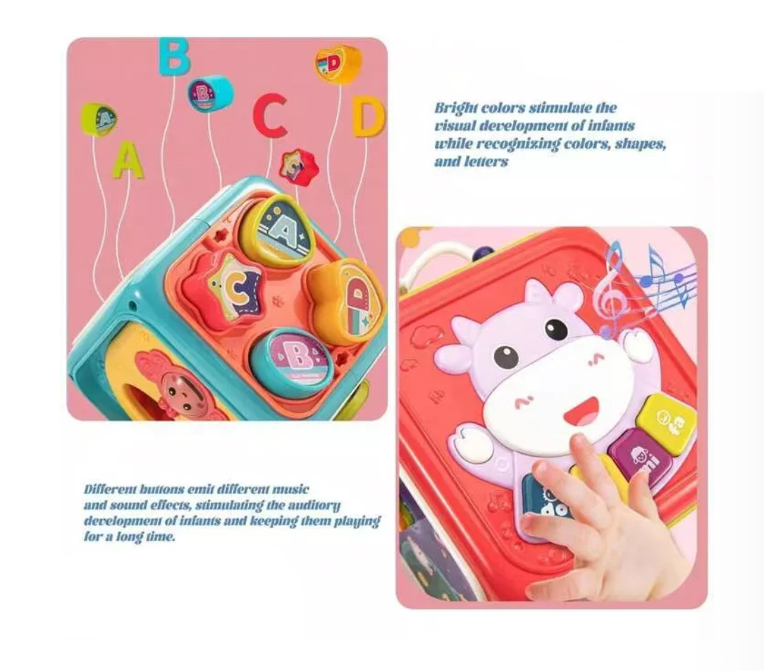 Cubo Didáctico De Actividades Montessori 6 En 1 Para Bebés