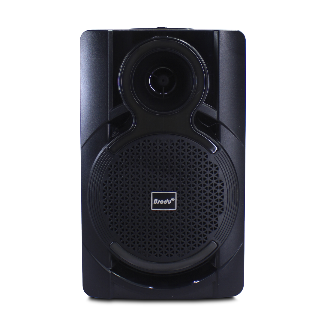 Altavoz Bluetooth 10W Bocina Con mini buffer