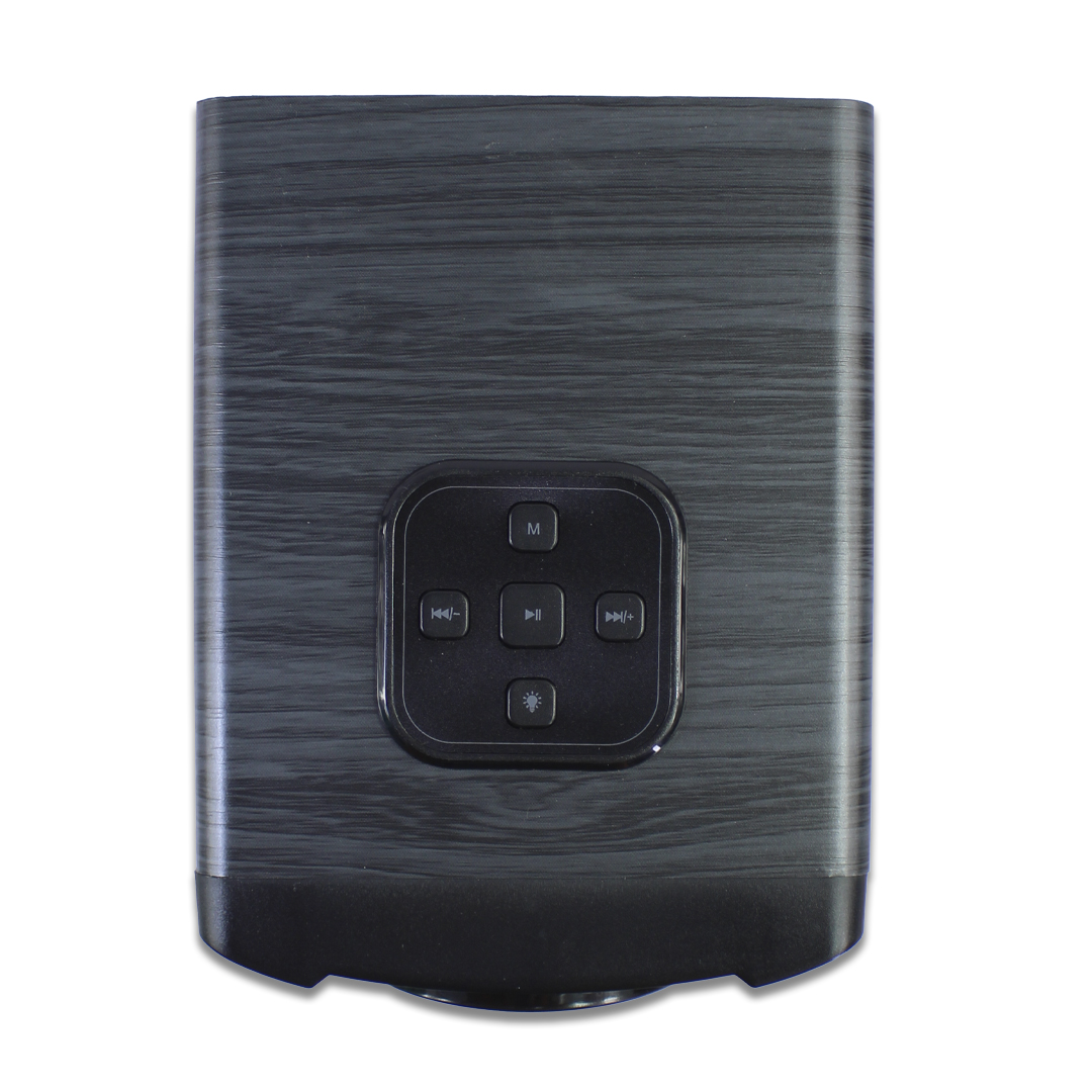 Altavoz Bluetooth 10W Bocina Con mini buffer