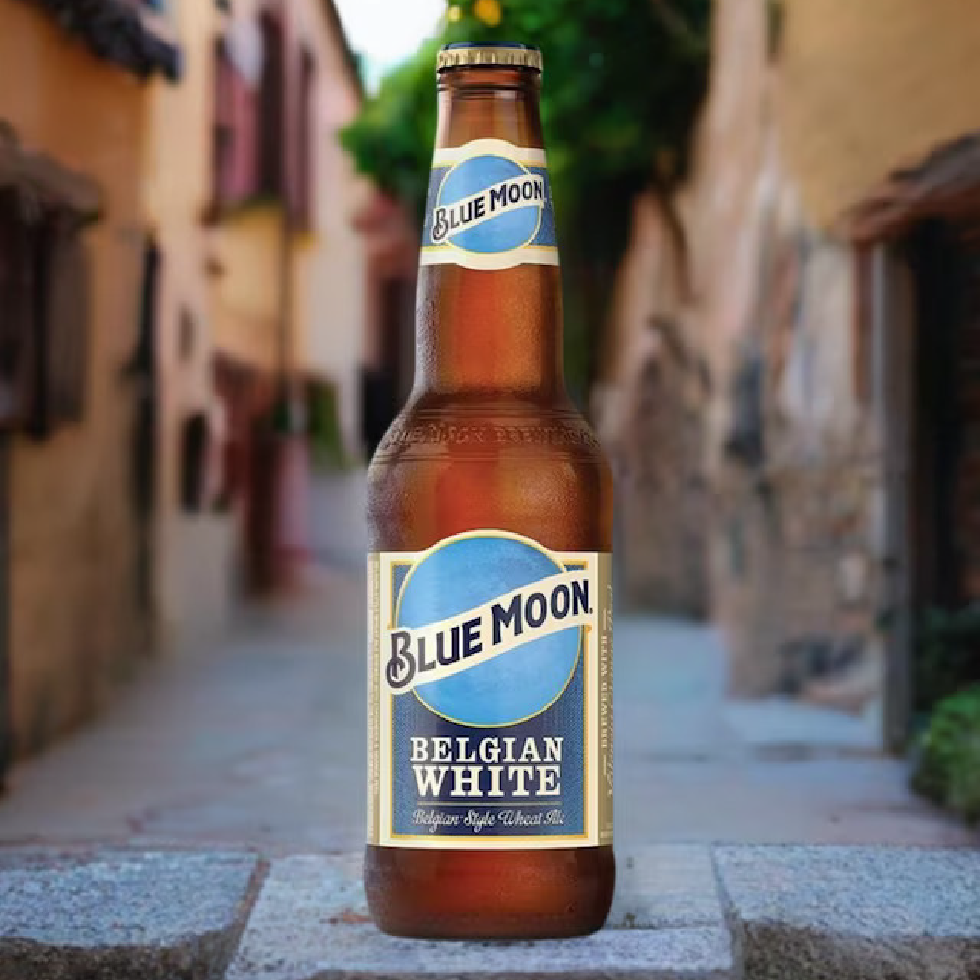 Cerveza Artesanal Blue Moon - 24 pack Premium de 355 ml