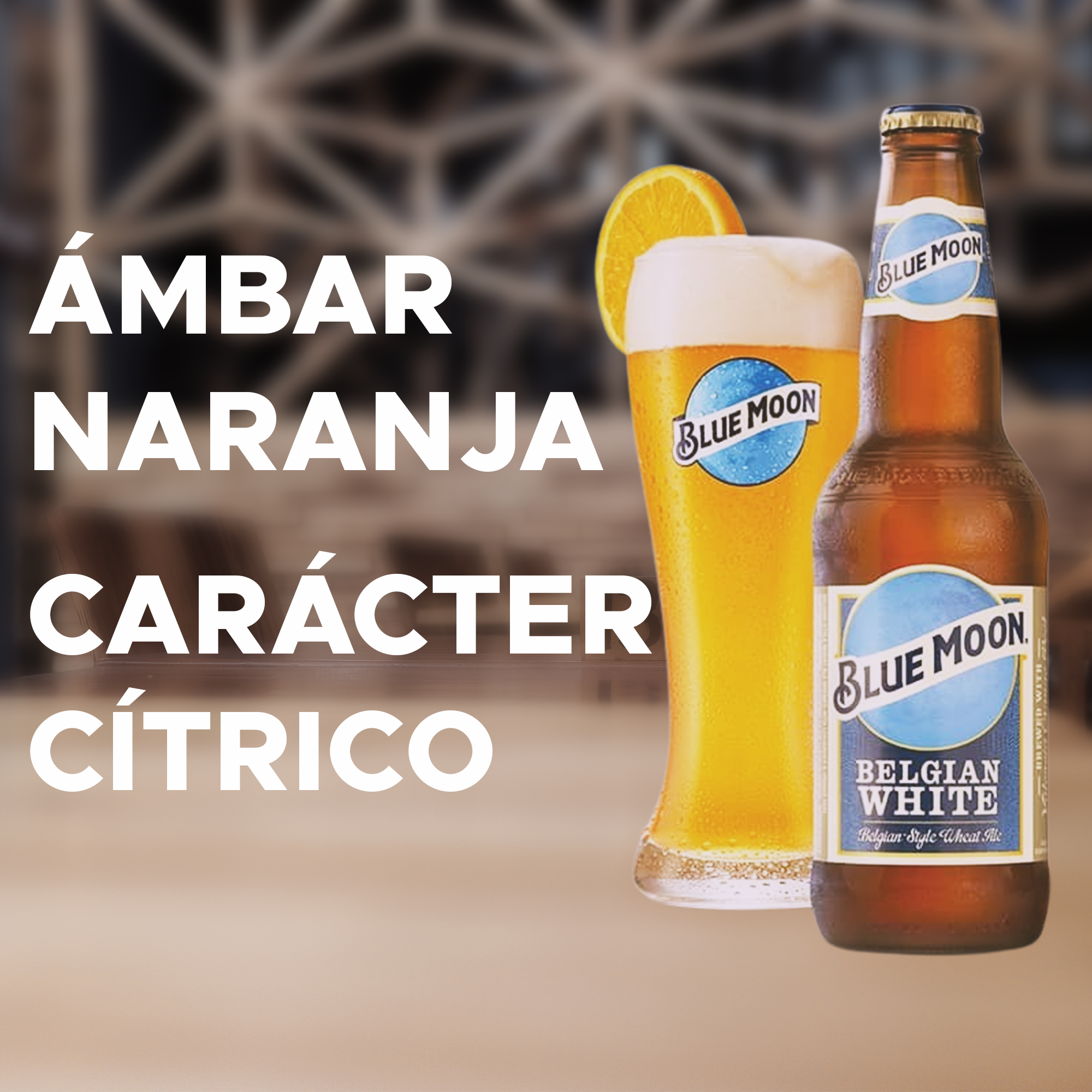 Cerveza Artesanal Blue Moon - 24 pack Premium de 355 ml