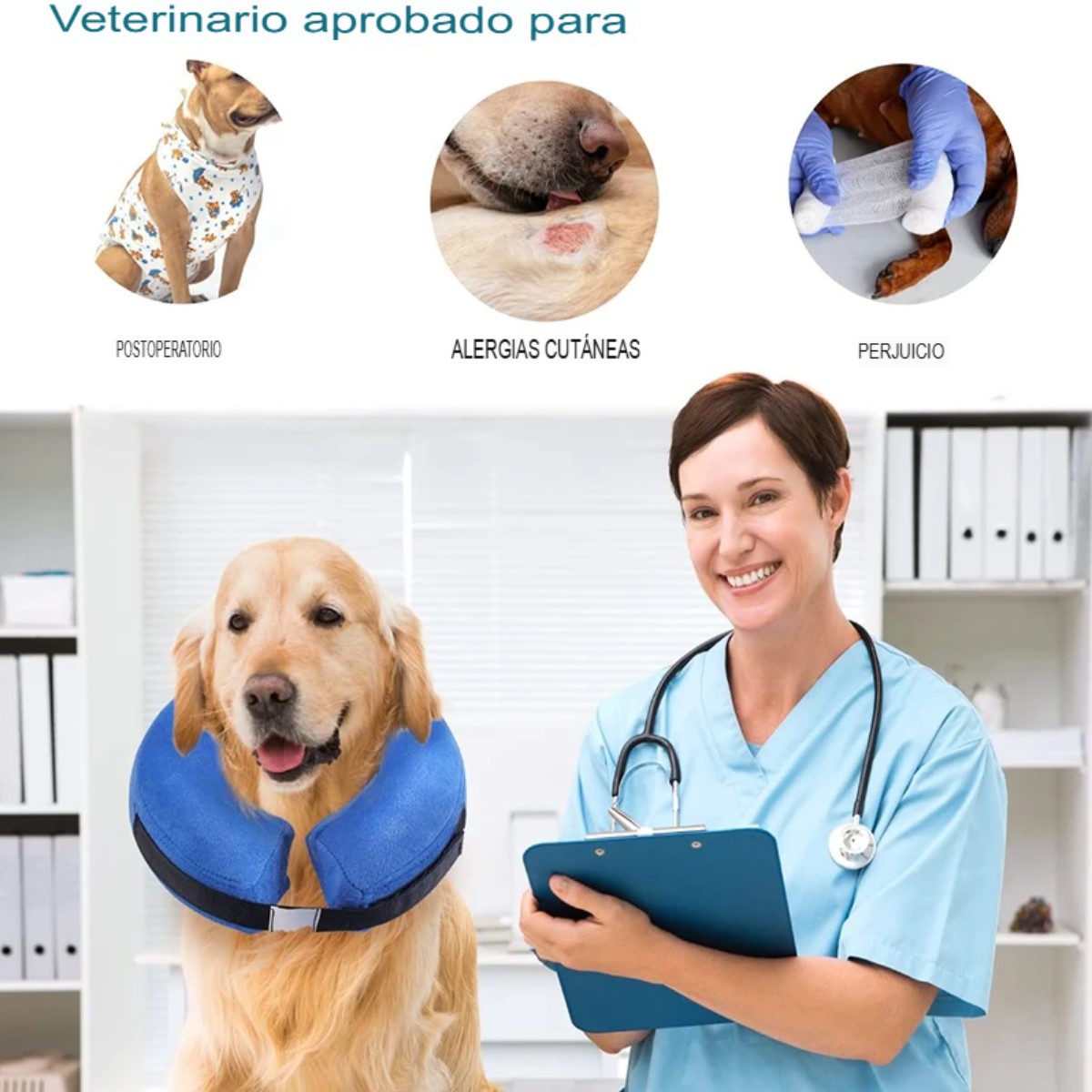 Collar isabelino dona azul XL protector perros gatos recuperación suave mascotas tela cómodo grande