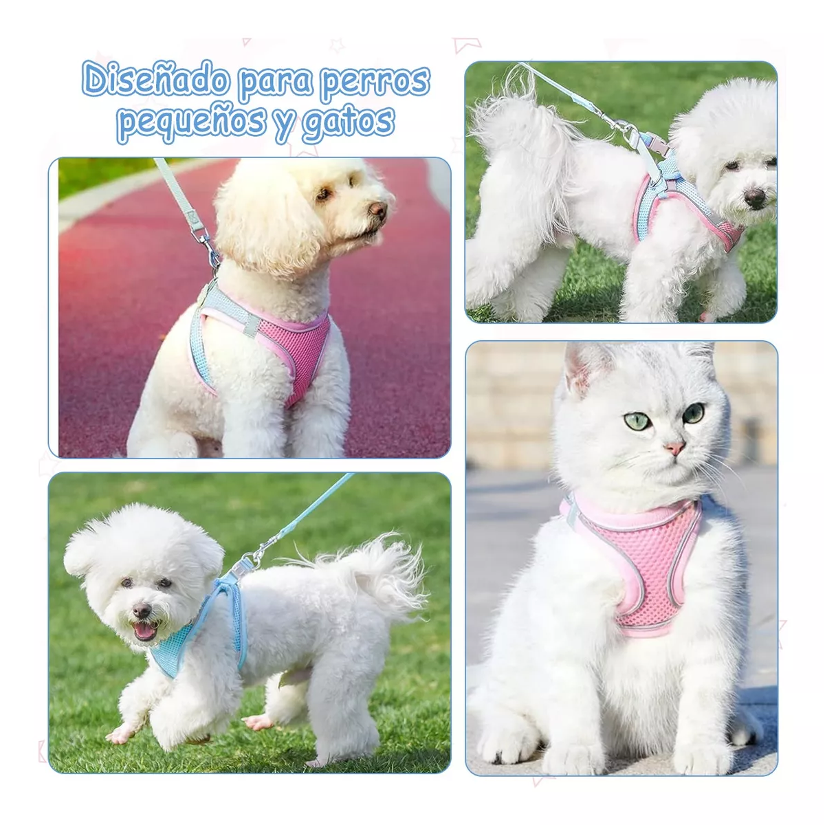 Set 2 Pechera Arnés Y Correa Para Perros Y Gatos Estilo1 Talla M