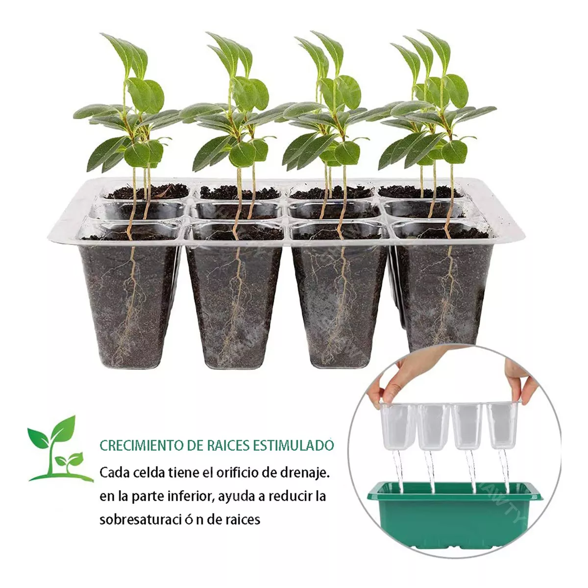 Charolas Germinadoras Semillero Invernadero Tapa 10pz