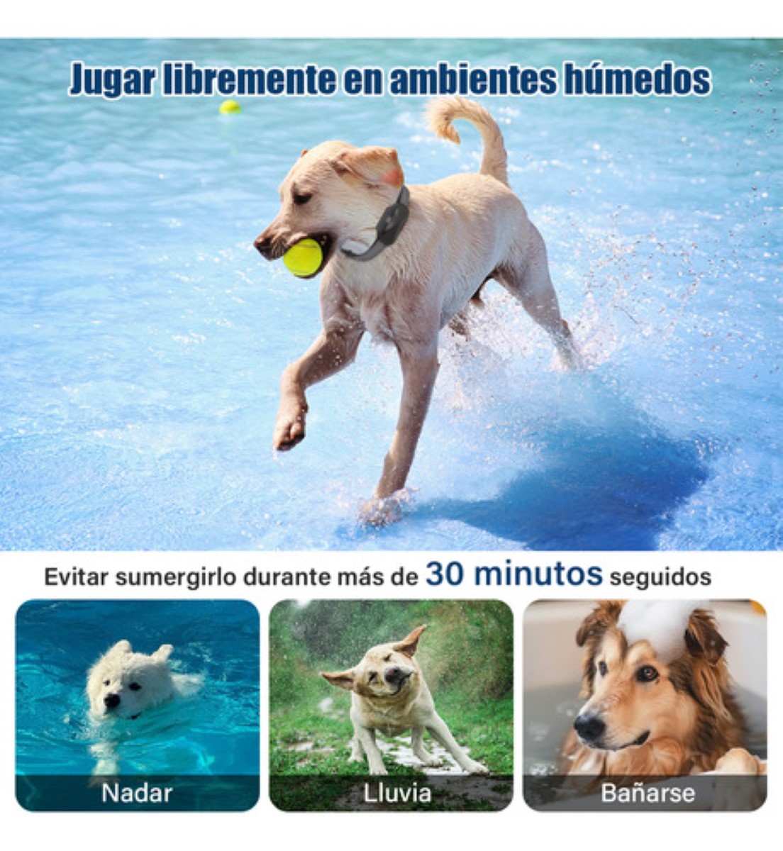 Collar Antiladridos Adiestrar Electrico Perros Negro 2 Pcs NEGRO