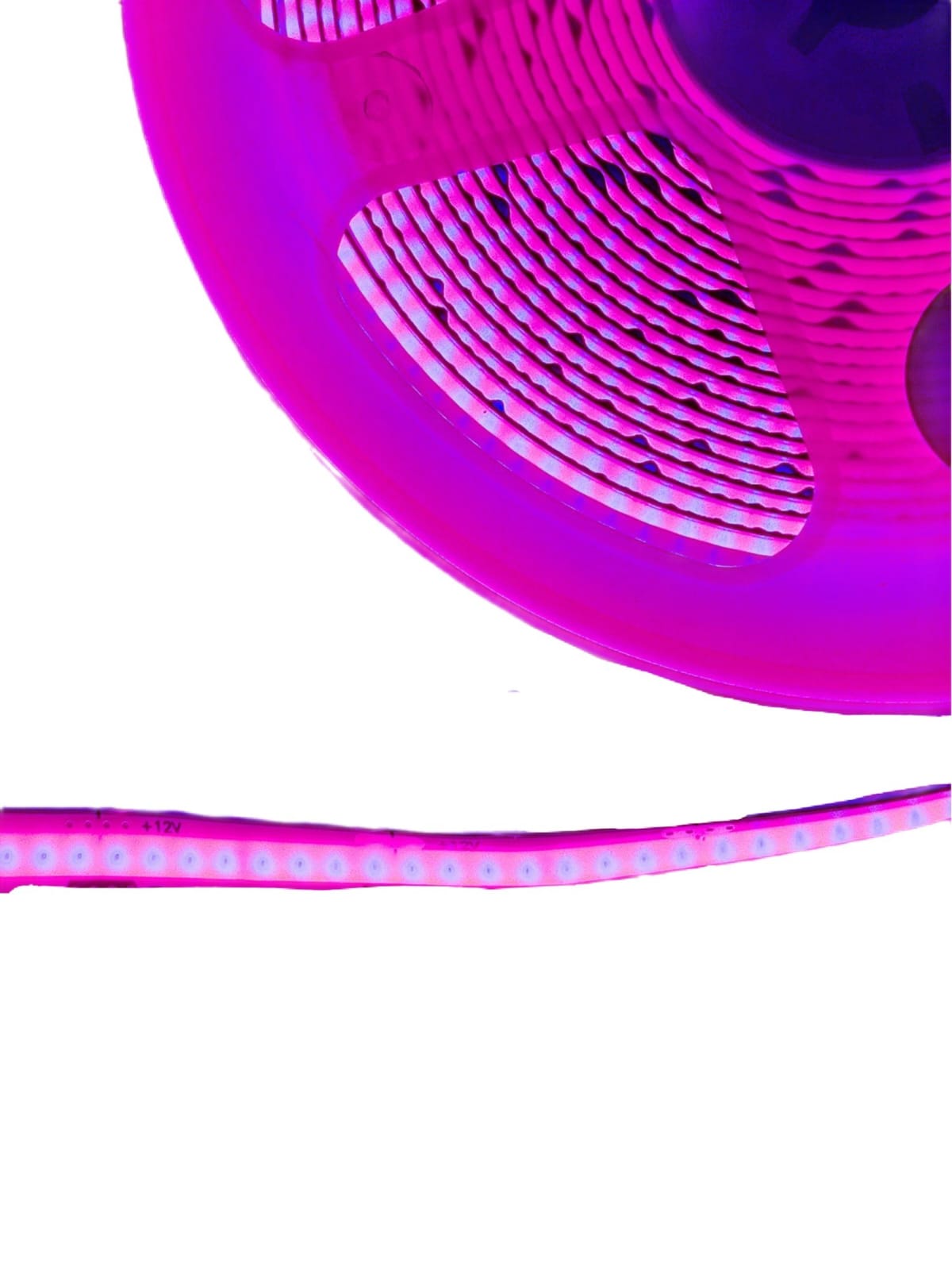 Tira Led Cob 5 Mts 12v Morado