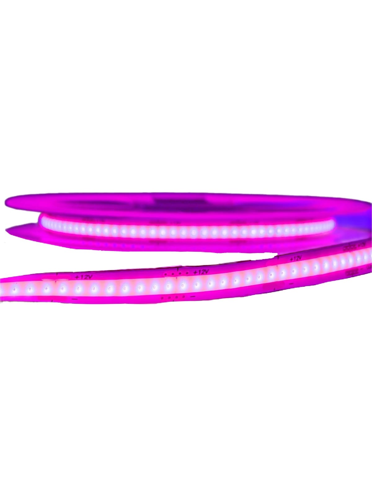 Tira Led Cob 5 Mts 12v Morado