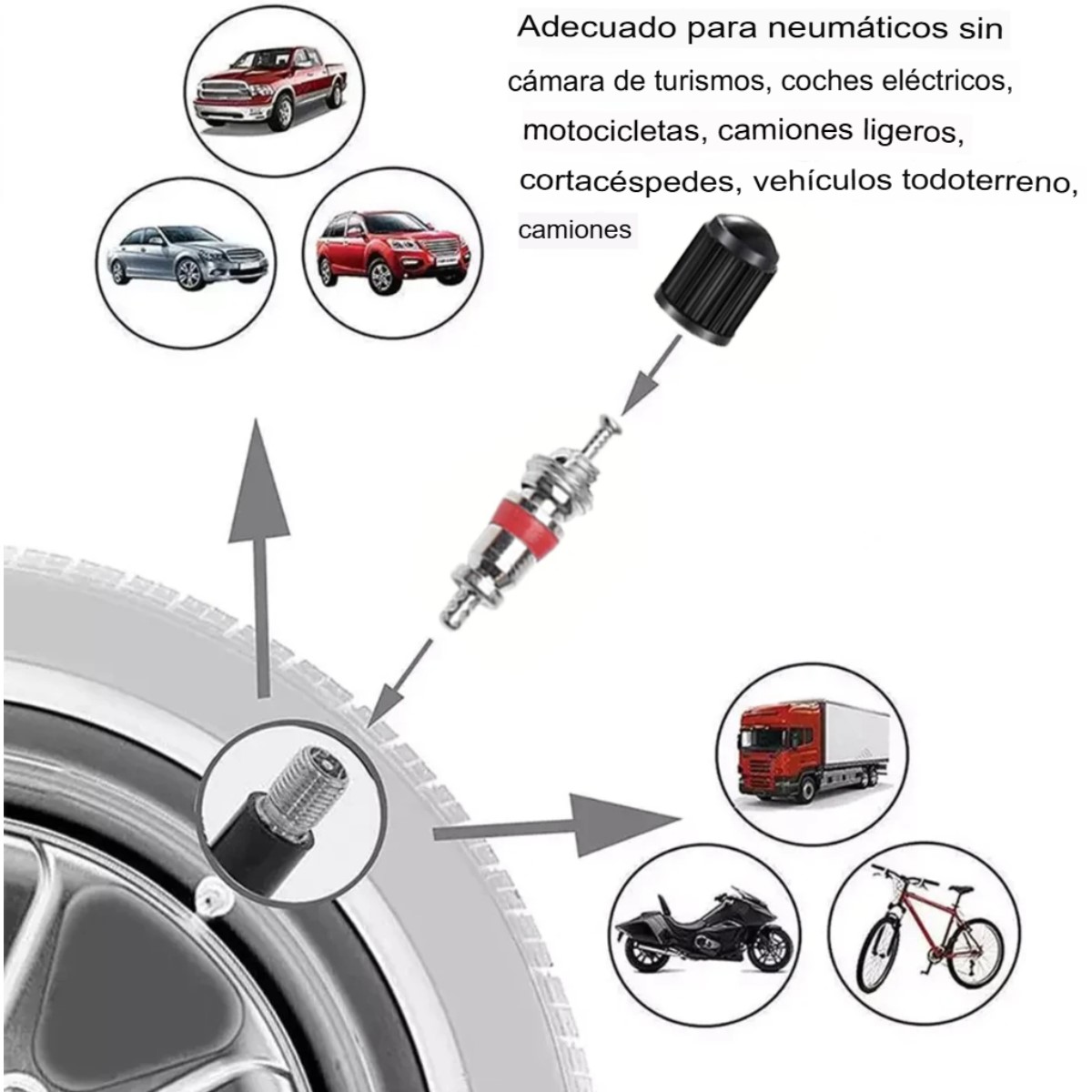 kit juego válvula neumático bicicleta coche camara núcleo herramientas reparación accesorios moto