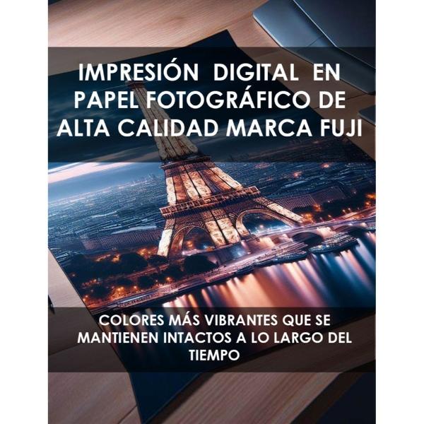 Cuadro Decorativo Diseño Penacho Papel Metálico Textura Brillante 47x34 cm