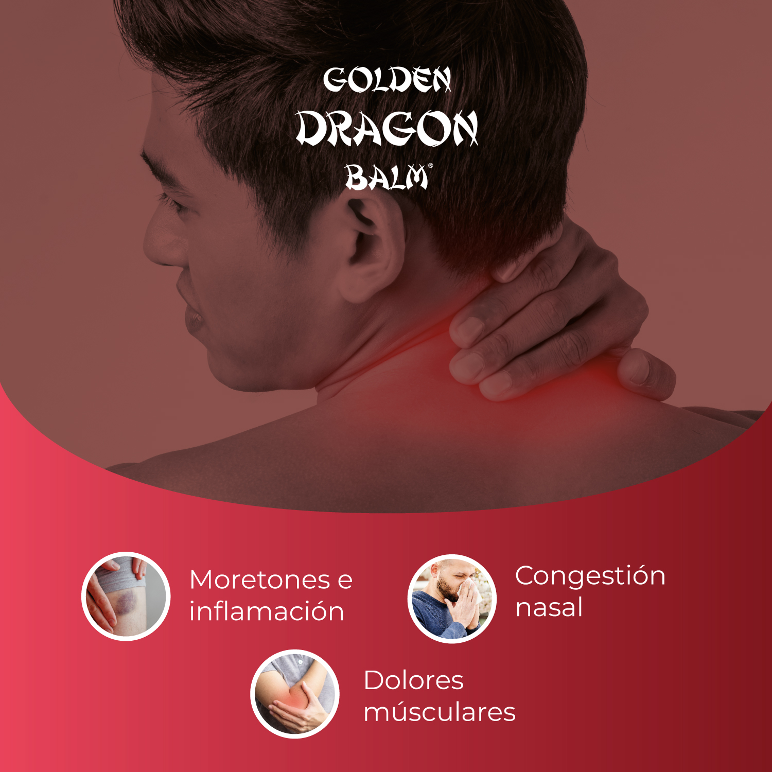 Anahuac Golden Dragon Balm Pomada Herbal Paquete 4 pzas 12g c/u Alivia Dolores Musculares, Articulares y Tensión Corporal, Sensación de Calor Relajante