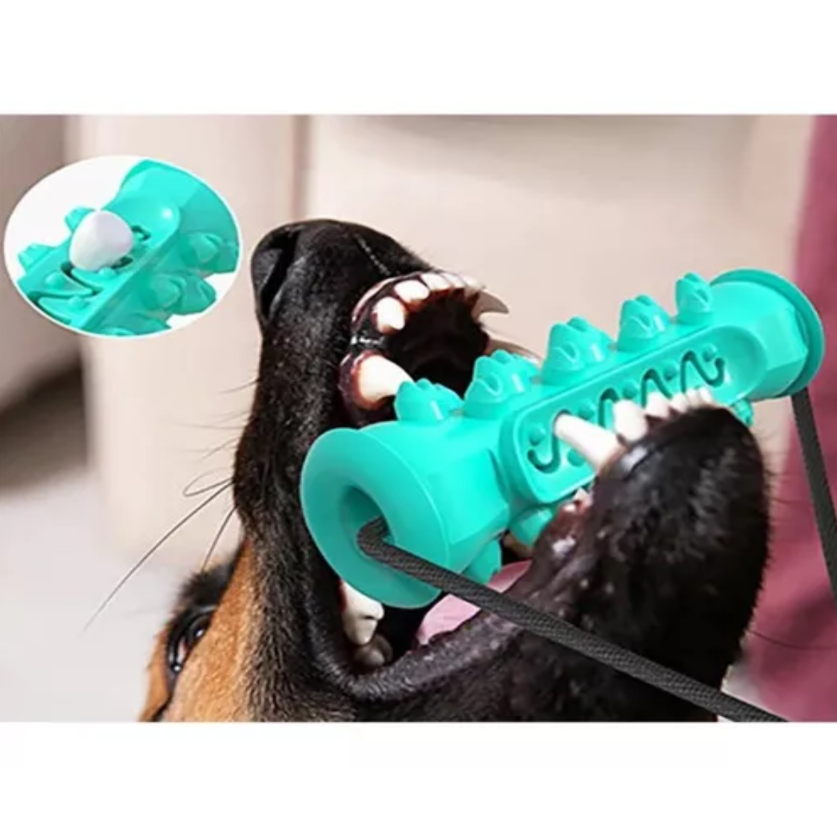 Mordedera para perro limpia dientes juguete doble rellenable Turquesa