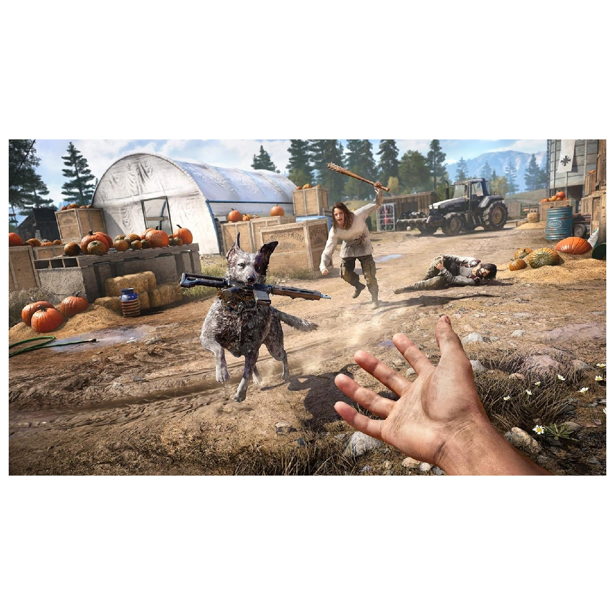 PS4 Juego Far Cry 5