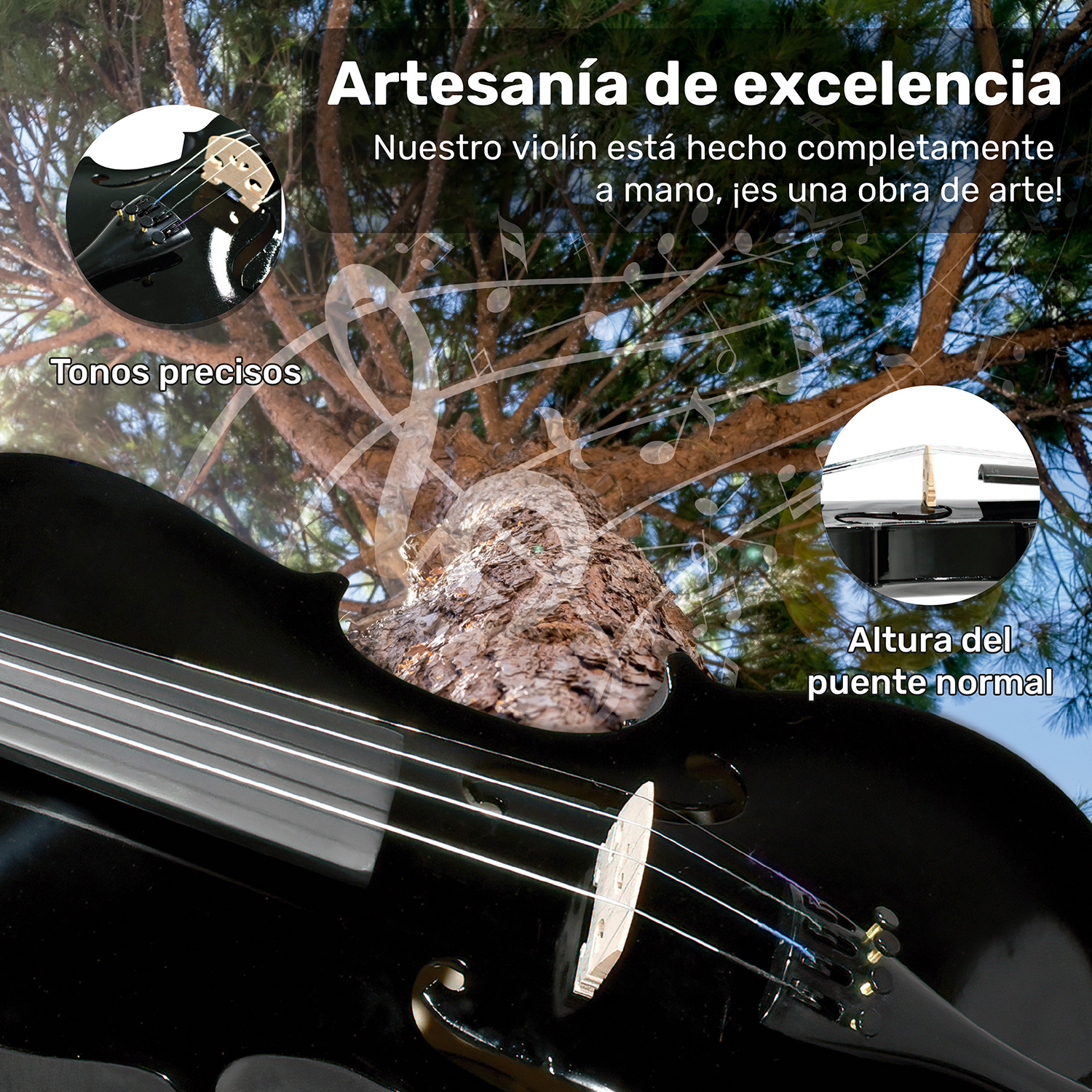 Violi­n Acustico 4/4 Profesional Madera Fina Negro Estudiante Musica