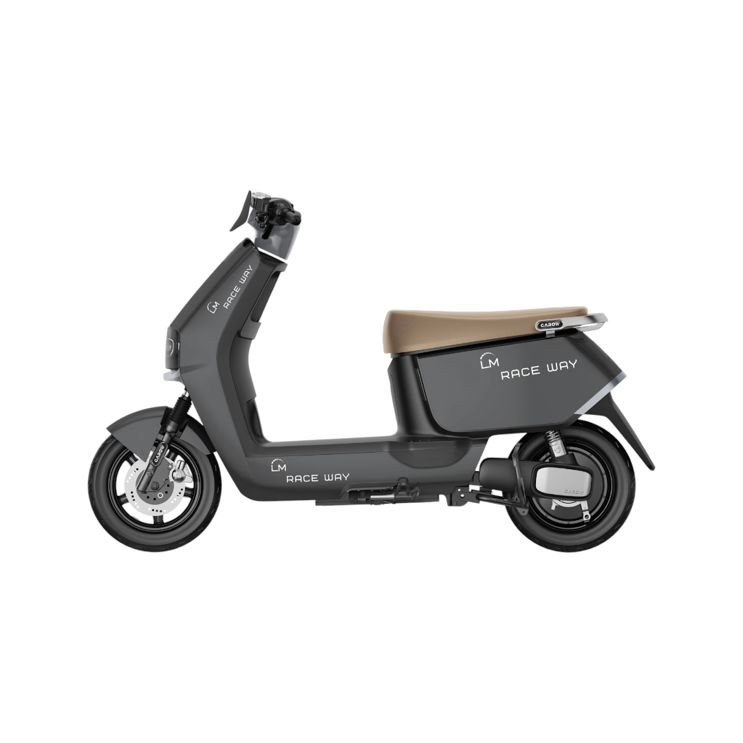 Moto eléctrica LM  FO 