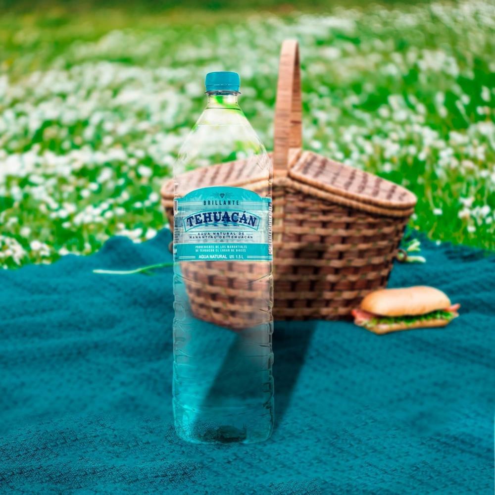 Caja Agua Natural Sin Gas 24 Und Tehuacan 600ml